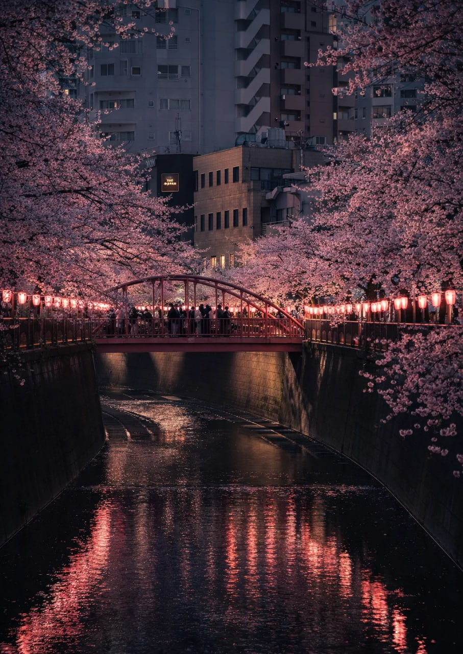 photo_2026-04-07_16-04-00 (2).jpg