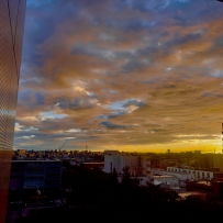 客人早晨拍的朝陽☀️ 「想讓靜香看看~」  上班來就看到這麼美的天空,心情也跟著變