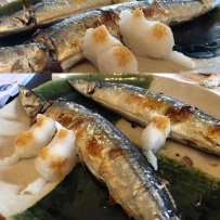 ニュースで「今年の秋刀魚は特に美味しい」と言ってたけど、 → 私:目で確認済み、ホ