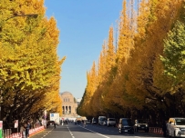 楽しめるお兄さんは、本当に違いますね🤭 航空券ももう予約済みで、12月に日本へ直行