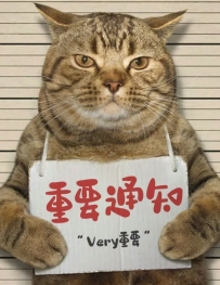 💬【今晚出勤提醒🎃】今天萬聖節+月底+禮拜五, 人多、車也多🚗💨 東京(涉谷、新宿