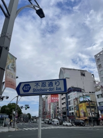 🚶‍♀️ 不忍通りの街角で
