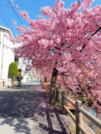 沒有突如其來的幸運 只有日復一日的認真 小小店長靜香上線啦~